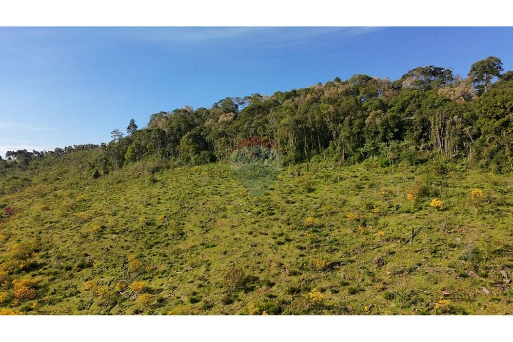 Chácara / Sítio / Fazenda - Venda - São José do Cerrito , Santa Catarina - DJI_20251111163916_0002_D.JPG - 590071044-13