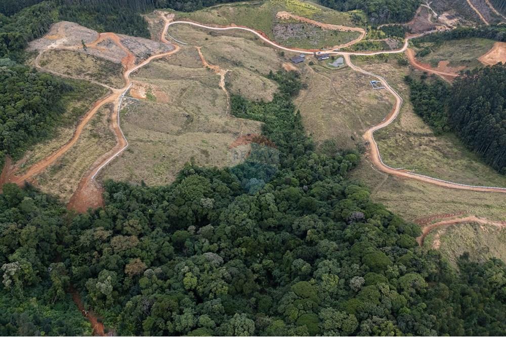 Chácara / Sítio / Fazenda - Venda - São Martinho , Santa Catarina - DJI_20250711082614_0726_D_DJI4.jpg - 590461004-22