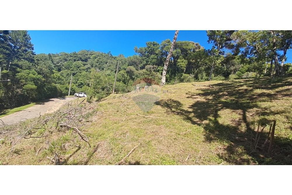 Terreno - Venda - Rancho Queimado , Santa Catarina - WhatsApp Image 2026-01-21 at 18.15.11 (1).jpeg - 590471023-34