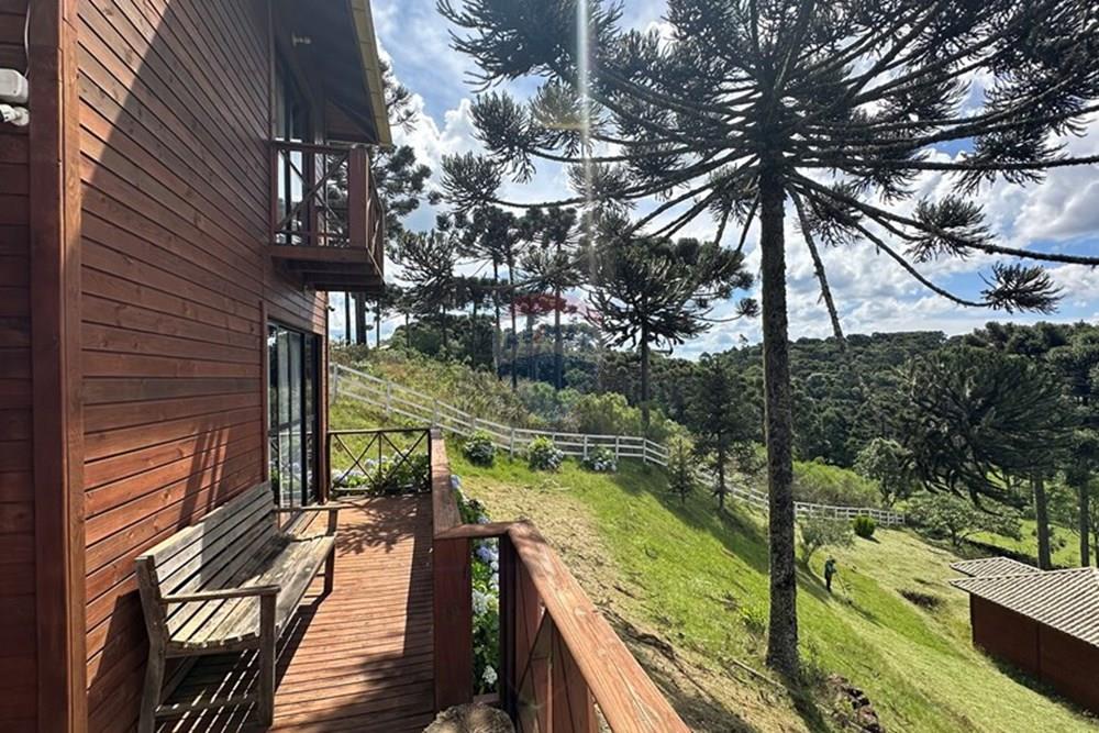 Chácara / Sítio / Fazenda - Venda - Painel , Santa Catarina - IMG_3315.jpg - 590071002-472