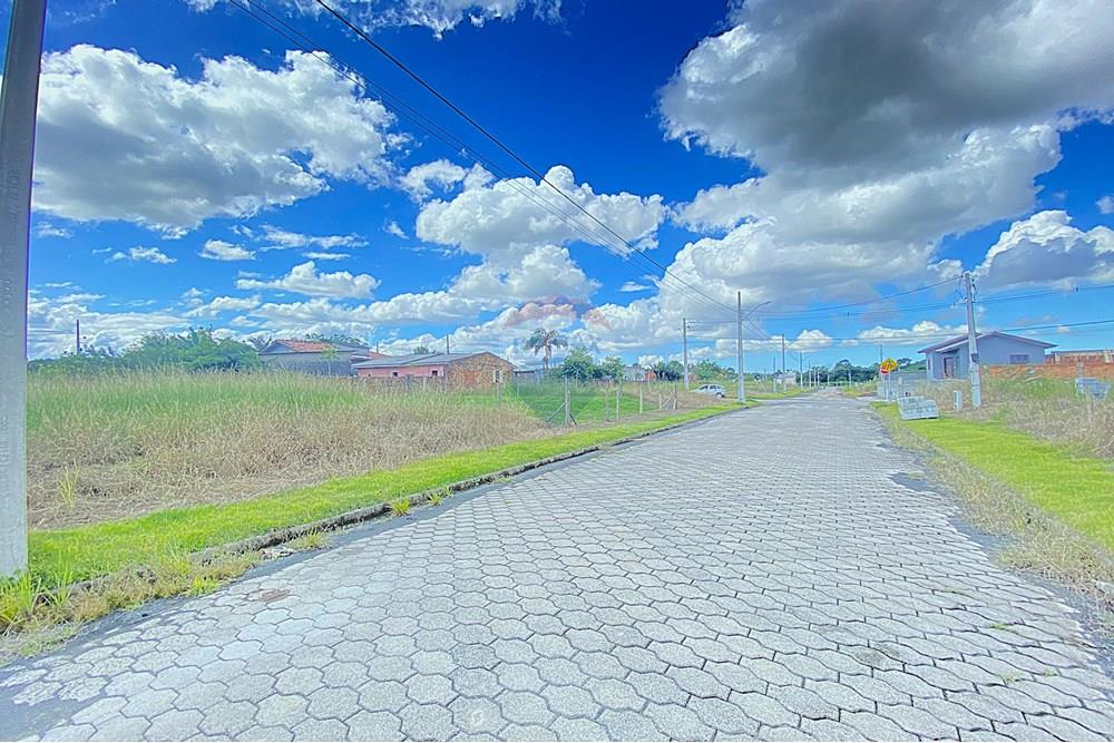 Terreno - Venda - Criciúma , Santa Catarina - IMG_0209.jpg - 590311016-38