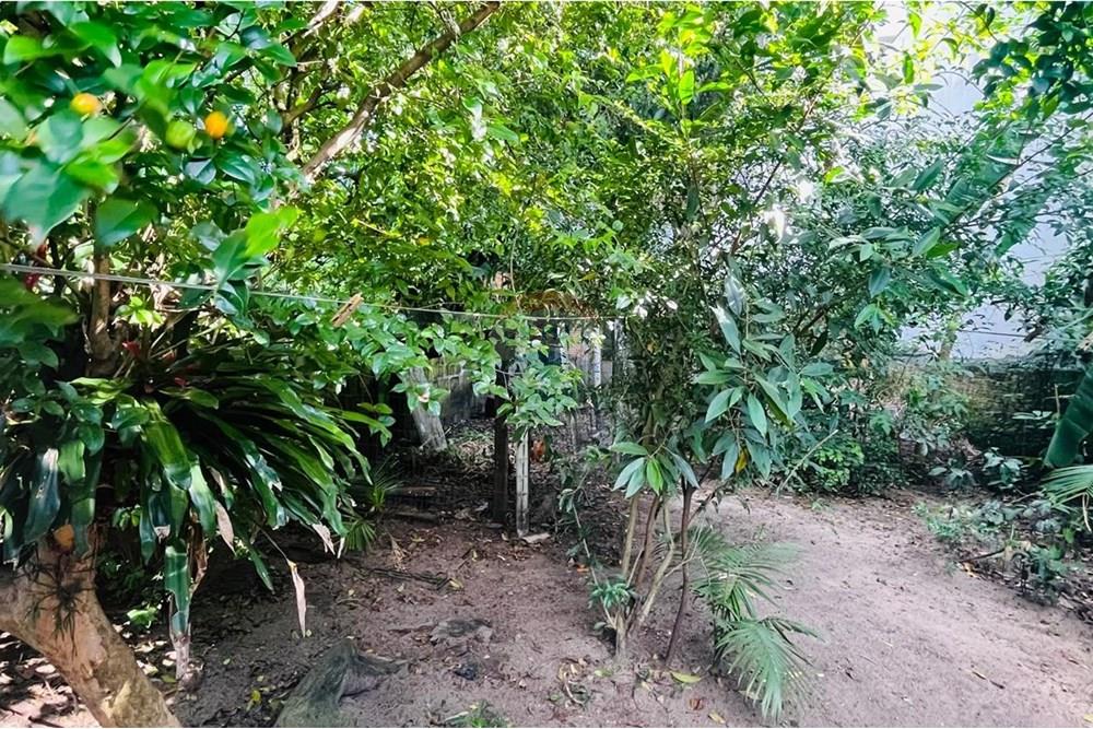 Terreno - Venda - Navegantes , Santa Catarina - POMAR DO TERRENO1.jpg - 590091044-43