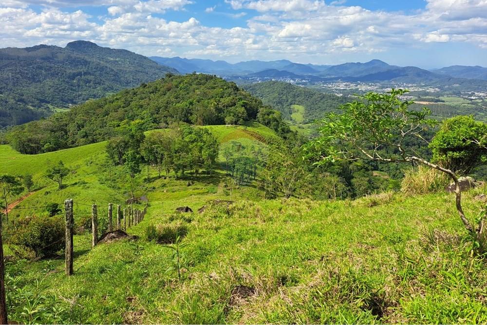 Terreno - Venda - Indaial , Santa Catarina - WhatsApp Image 2026-02-26 at 10.06.39.jpeg - 590301027-114