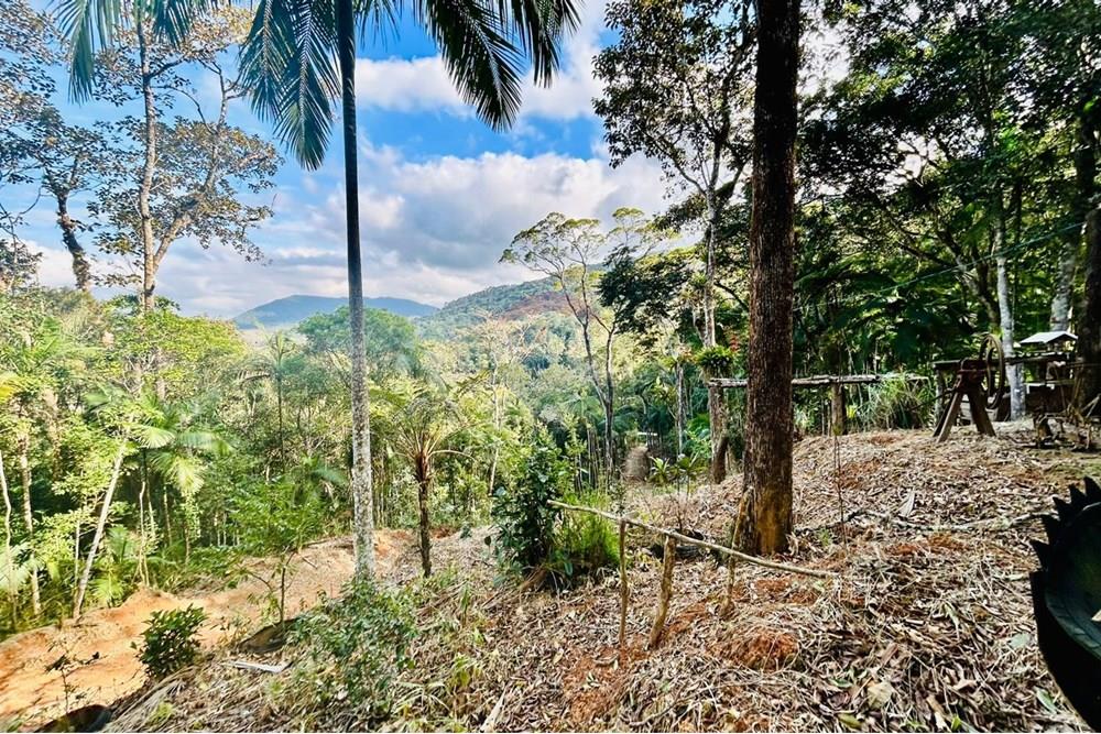 Chácara / Sítio / Fazenda - Venda - Itapema , Santa Catarina - WhatsApp Image 2025-07-14 at 16.25.24.jpeg - 590401053-3