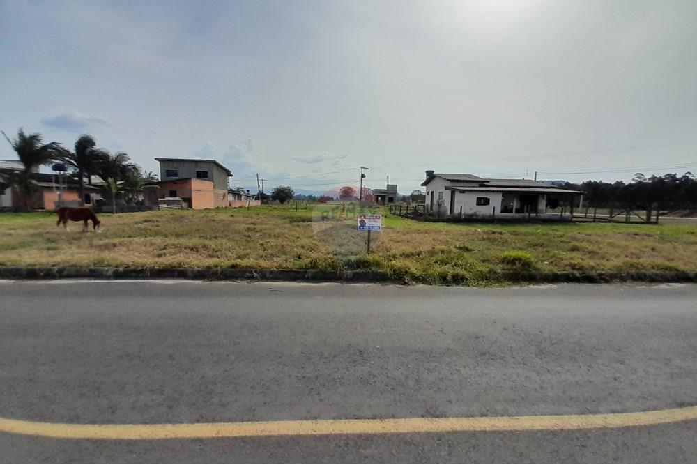 Terreno - Venda - Santa Rosa do Sul , Santa Catarina - 20250726_133354.jpg - 590491005-22