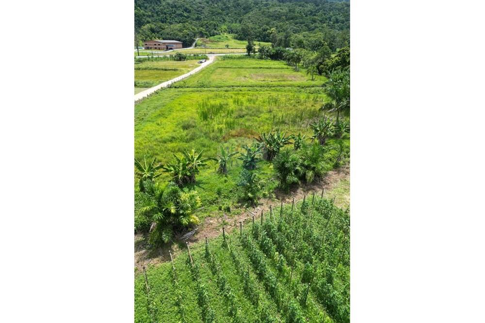 Terreno - Venda - Indaial , Santa Catarina - IMG_0257.jpeg - 590301007-66