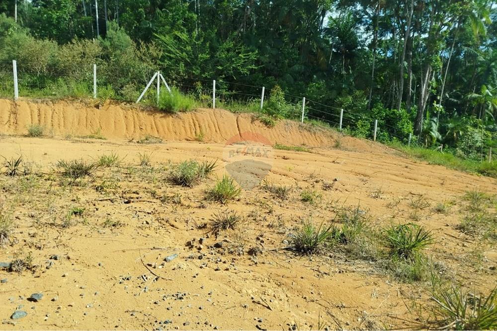 Terreno - Venda - Blumenau , Santa Catarina - WhatsApp Image 2026-03-03 at 14.51.39.jpeg - 590301027-118