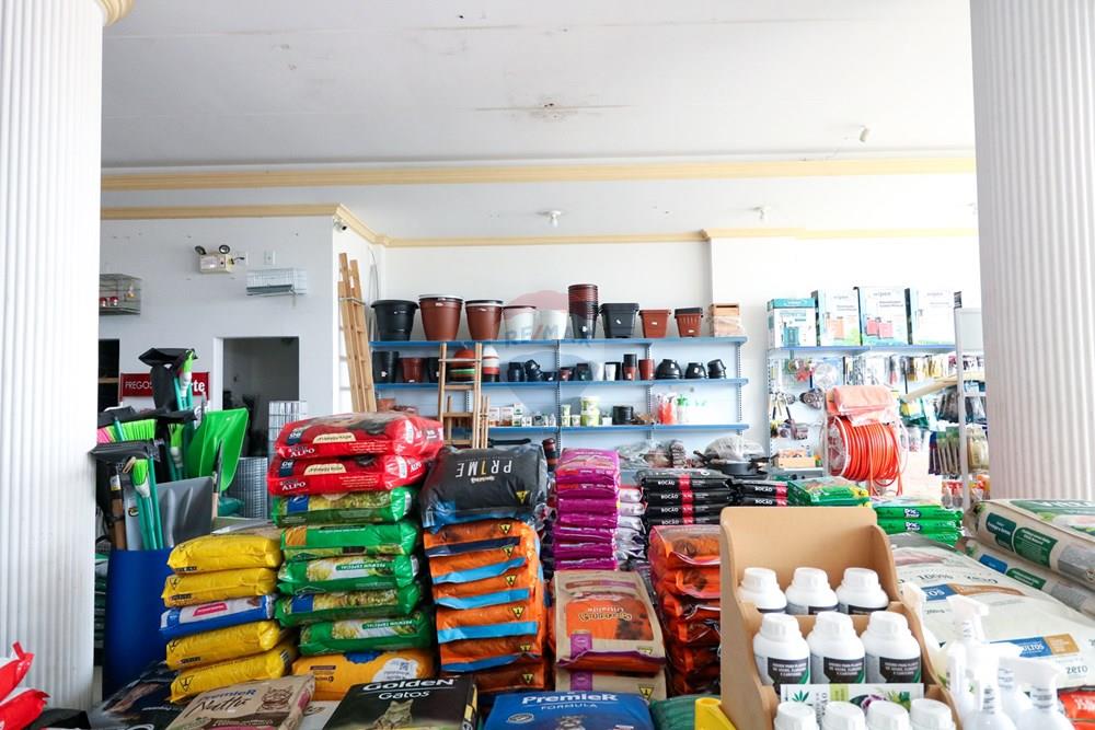 Ponto Comercial - Venda - Lages , Santa Catarina - IMG_3710.jpg - 590071044-23