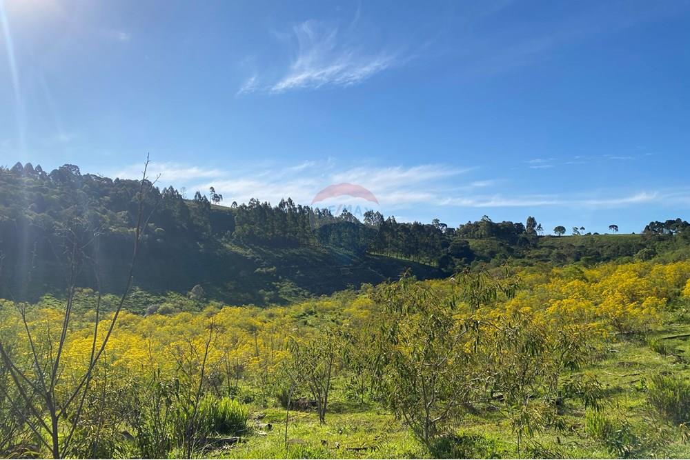 Chácara / Sítio / Fazenda - Venda - São José do Cerrito , Santa Catarina - IMG_7954.JPG - 590071044-13