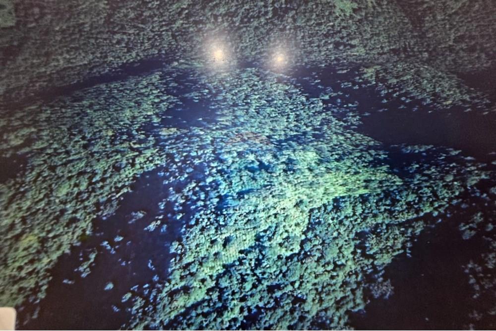 Chácara / Sítio / Fazenda - Venda - Itaiópolis , Santa Catarina - WhatsApp Image 2025-12-10 at 13.49.38 (2).jpeg - 590211033-83