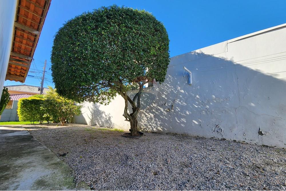 Casa - Venda - Florianópolis , Santa Catarina - Quintal.jpg - 590551017-3