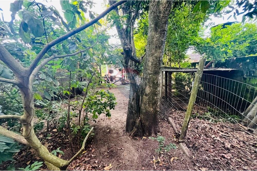 Terreno - Venda - Navegantes , Santa Catarina - FUNDO DO TERRENO VISTA DA CONSTRUÇÃO.jpg - 590091044-43