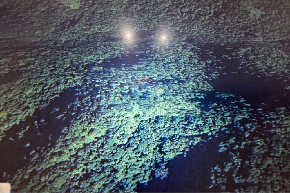 Chácara / Sítio / Fazenda - Venda - Itaiópolis , Santa Catarina - WhatsApp Image 2025-12-10 at 13.49.38 (1).jpeg - 590211033-83