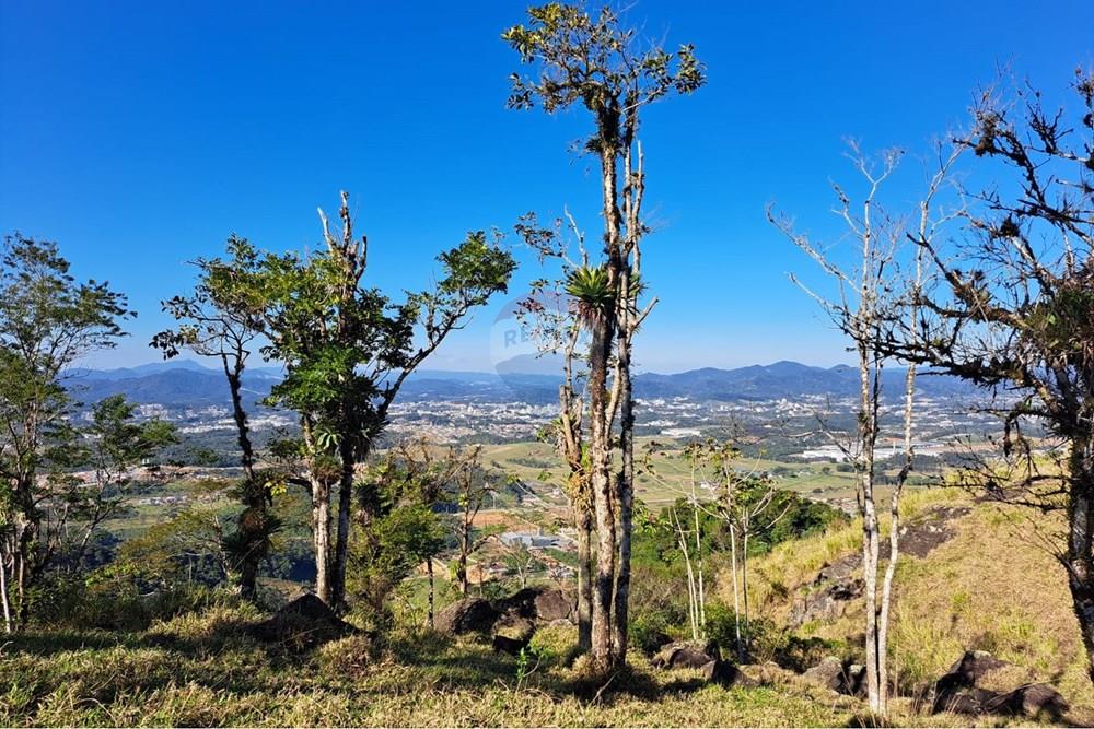 Terreno - Venda - Indaial , Santa Catarina - WhatsApp Image 2026-02-26 at 10.06.36.jpeg - 590301027-114