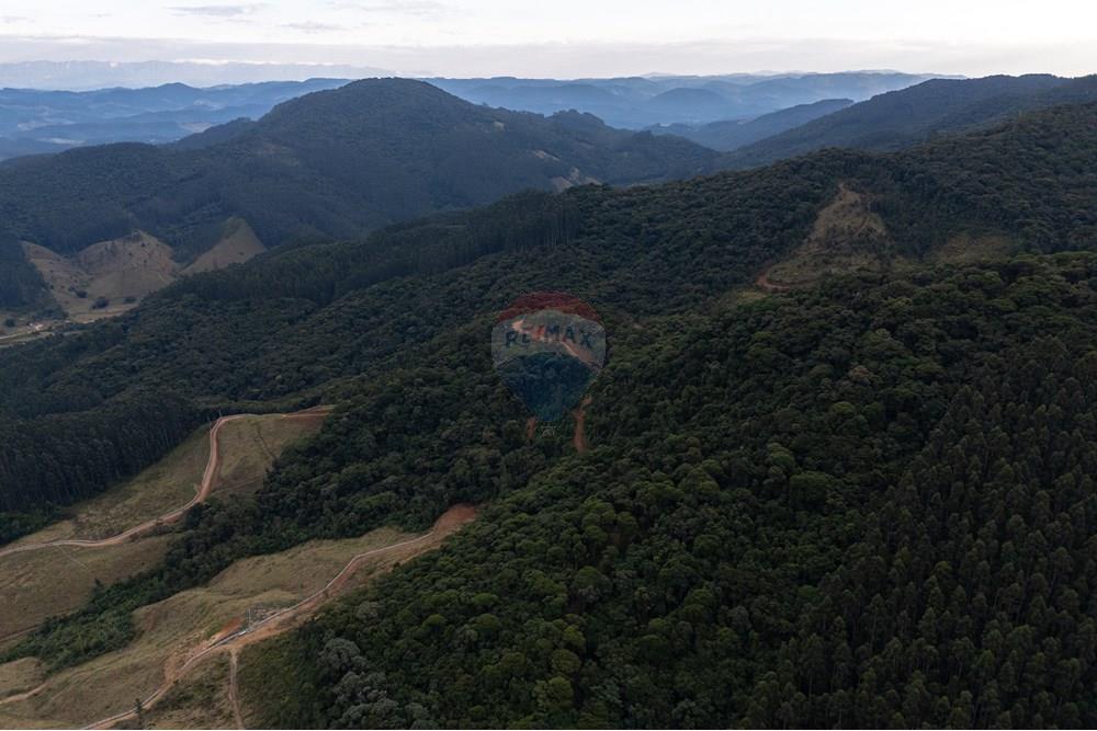 Chácara / Sítio / Fazenda - Venda - São Martinho , Santa Catarina - DJI_20250711080935_0691_D_DJI4.jpg - 590461004-22