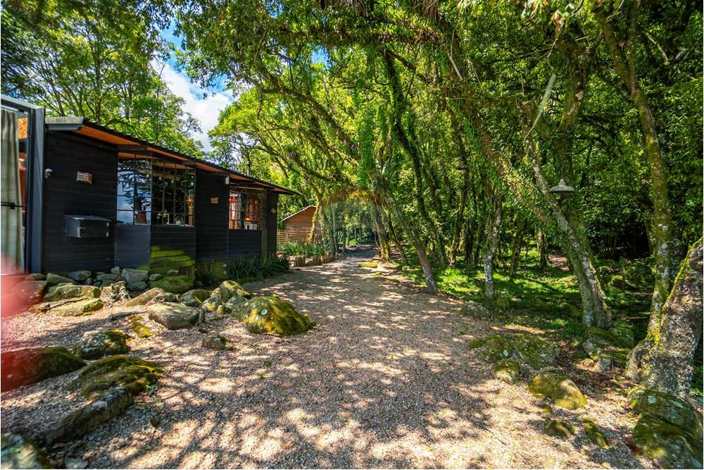 Chácara / Sítio / Fazenda - Venda - Alfredo Wagner , Santa Catarina - DSC04761.jpg - 590071002-445