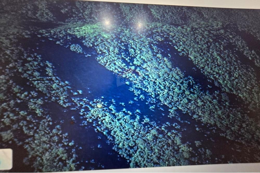 Chácara / Sítio / Fazenda - Venda - Itaiópolis , Santa Catarina - WhatsApp Image 2025-12-10 at 13.49.39 (1).jpeg - 590211033-83