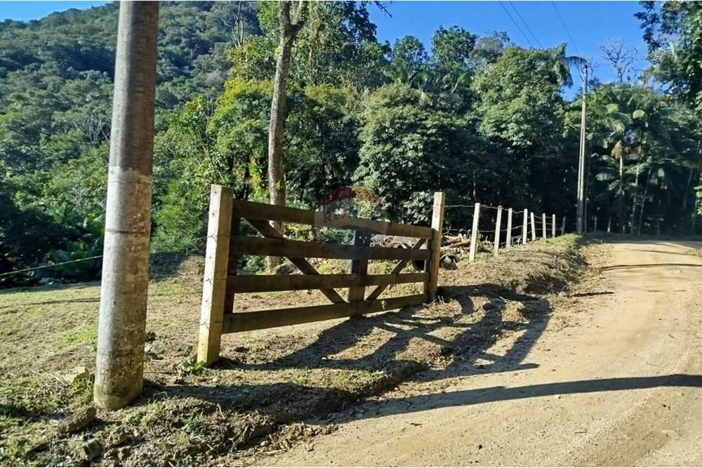Terreno - Venda - Benedito Novo , Santa Catarina - WhatsApp Image 2025-09-09 at 17.07.51 (1).jpeg - 590301027-106