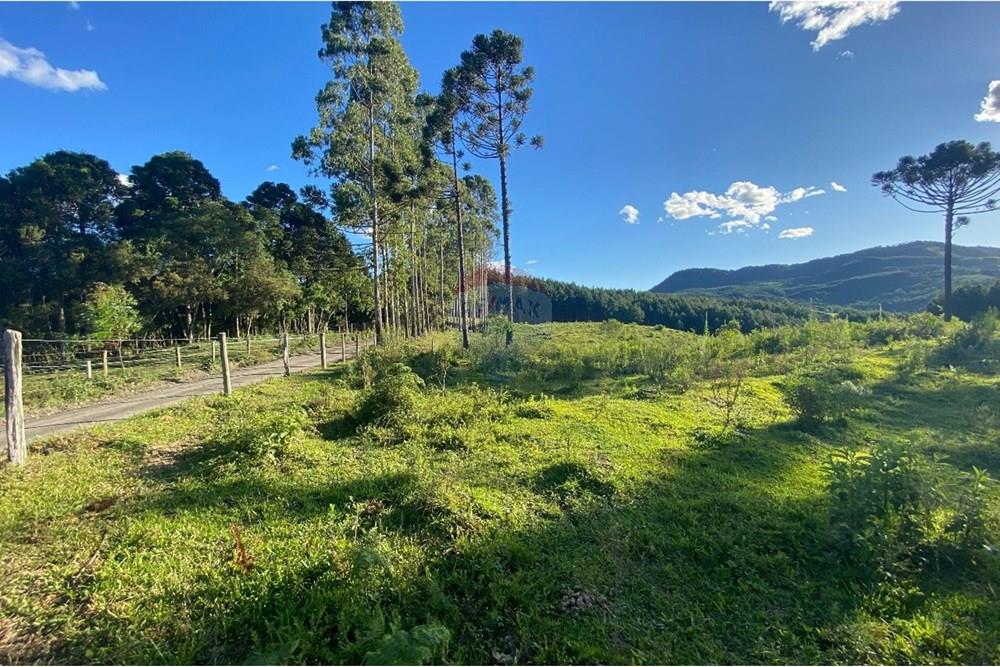 Chácara / Sítio / Fazenda - Venda - Lages , Santa Catarina - WhatsApp Image 2025-07-08 at 16.18.13 (1).jpeg - 590071044-14