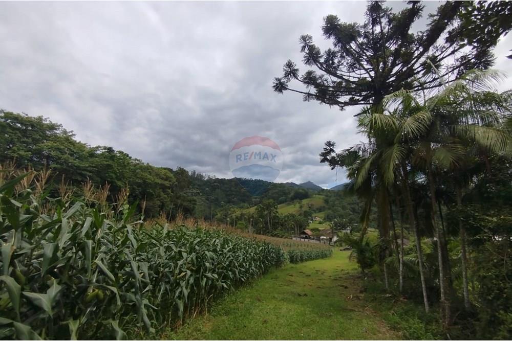 Chácara / Sítio / Fazenda - Venda - Pomerode , Santa Catarina - WhatsApp Image 2026-01-06 at 16.39.09.jpeg - 590301027-111