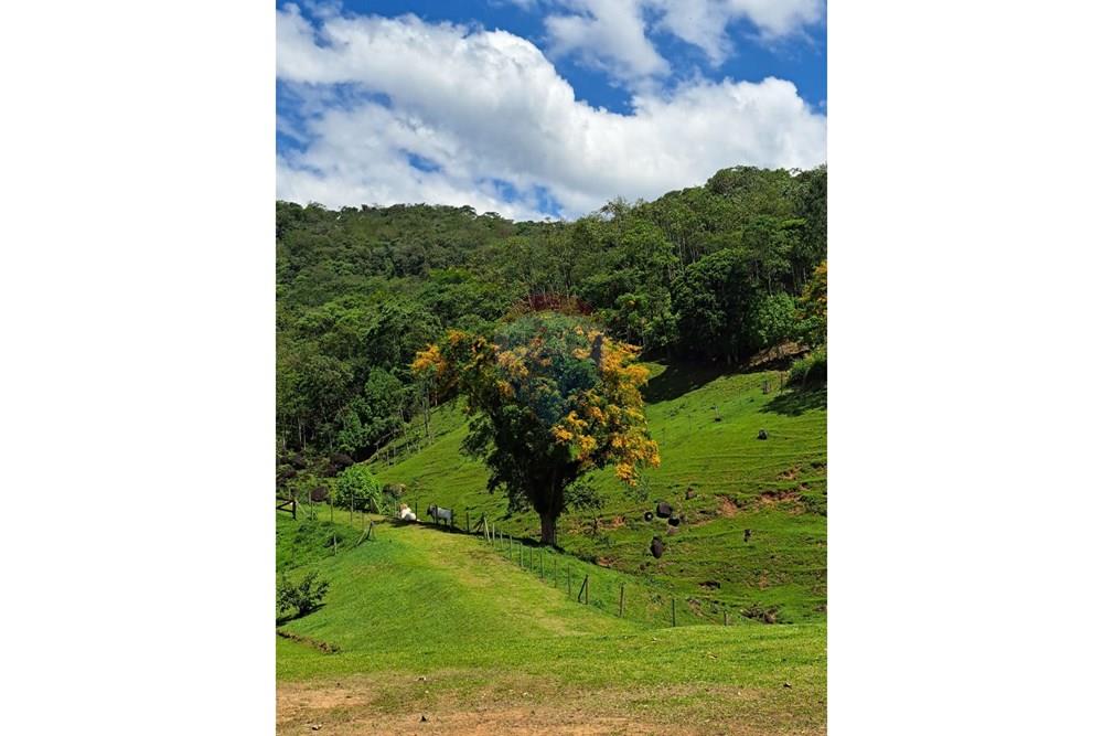 Terreno - Venda - Indaial , Santa Catarina - WhatsApp Image 2026-02-26 at 10.06.41.jpeg - 590301027-114