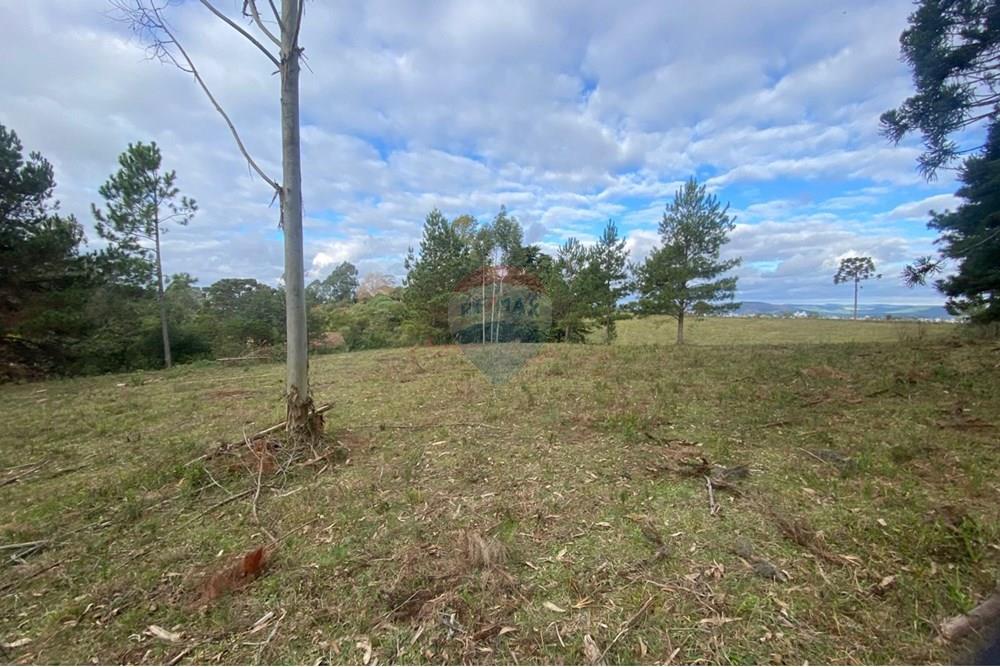 Terreno - Venda - Lages , Santa Catarina - 16de5758-2903-412f-af19-b4d5d3ff95c3.jpg - 590071041-8