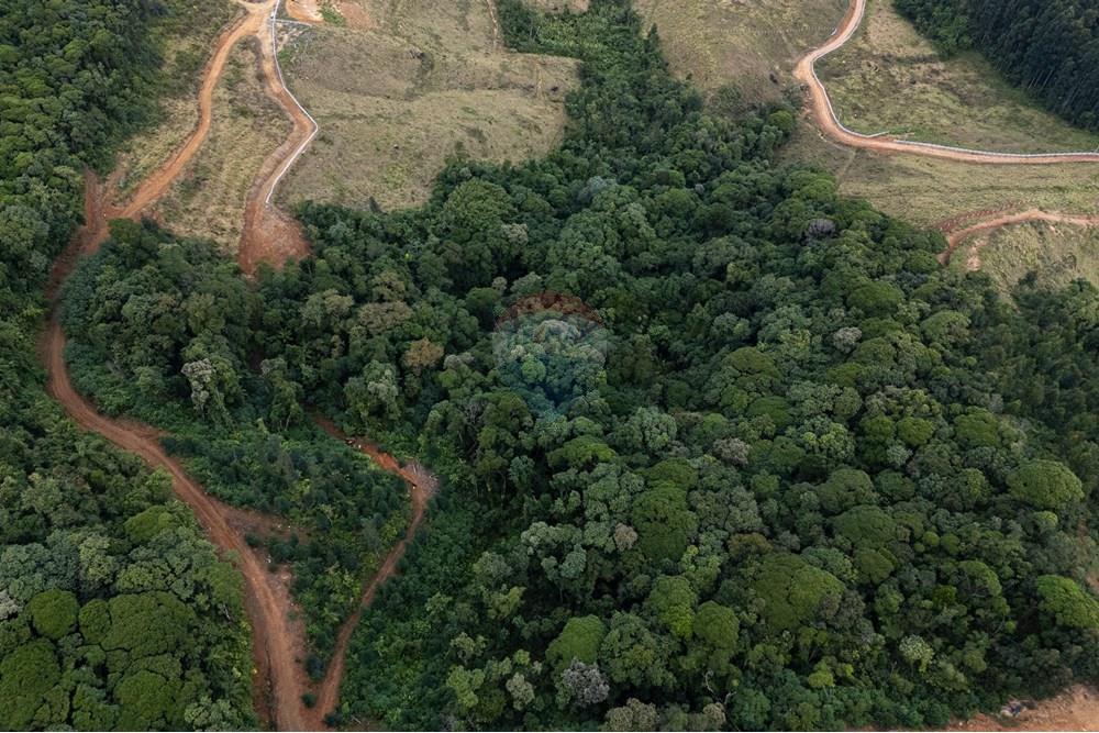 Chácara / Sítio / Fazenda - Venda - São Martinho , Santa Catarina - DJI_20250711082641_0728_D_DJI4.jpg - 590461004-22