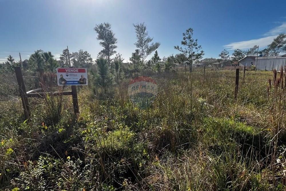 Terreno - Venda - Balneário Gaivota , Santa Catarina - WhatsApp Image 2025-06-13 at 14.51.43 (6).jpeg - 590491002-71