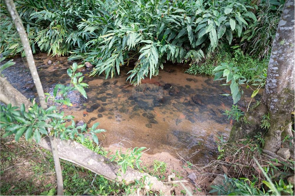 Casa de Campo - Venda - São Martinho , Santa Catarina - NZ5_2002.jpg - 590461004-16