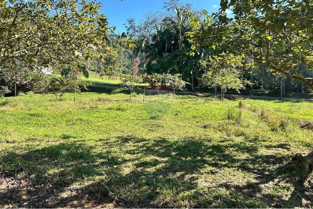 Terreno - Venda - Rio dos Cedros , Santa Catarina - 305d2b7c-7e63-44f7-ad3e-6c79cfc17e59.jpeg - 590211035-54