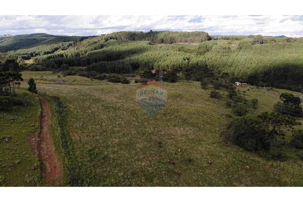 Chácara / Sítio / Fazenda - Venda - Painel , Santa Catarina - DJI_0124J.jpeg - 590071044-22