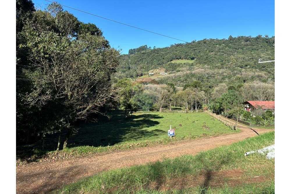 Terreno à venda, 20000m² - Foto 4