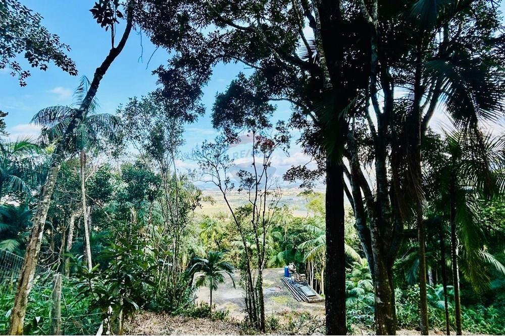 Chácara / Sítio / Fazenda - Venda - Itapema , Santa Catarina - WhatsApp Image 2025-07-14 at 16.25.25.jpeg - 590401053-3