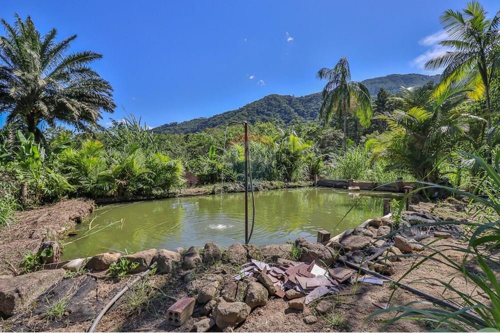 Chácara / Sítio / Fazenda - Venda - Pomerode , Santa Catarina - WhatsApp Image 2025-12-12 at 16.30.57 (1).jpeg - 590211067-15