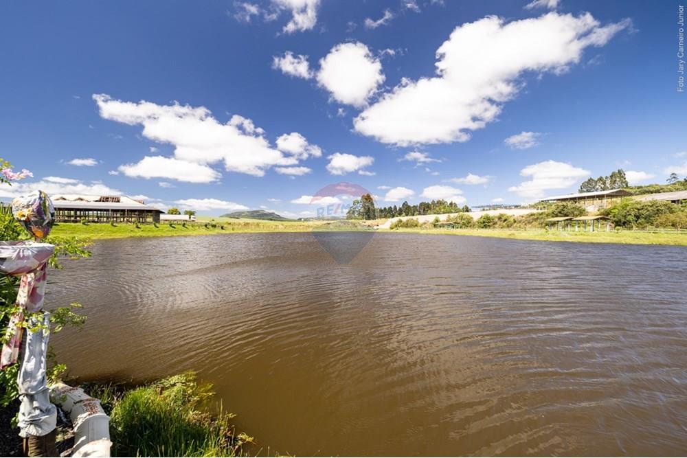 Terreno - Venda - Lages , Santa Catarina - IMG-20250318-WA0070.jpg - 590071002-307