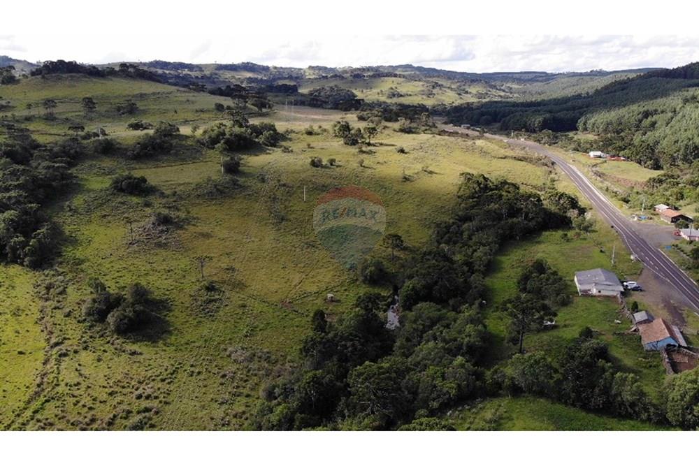 Chácara / Sítio / Fazenda - Venda - Painel , Santa Catarina - DJI_0110J.jpeg - 590071044-22