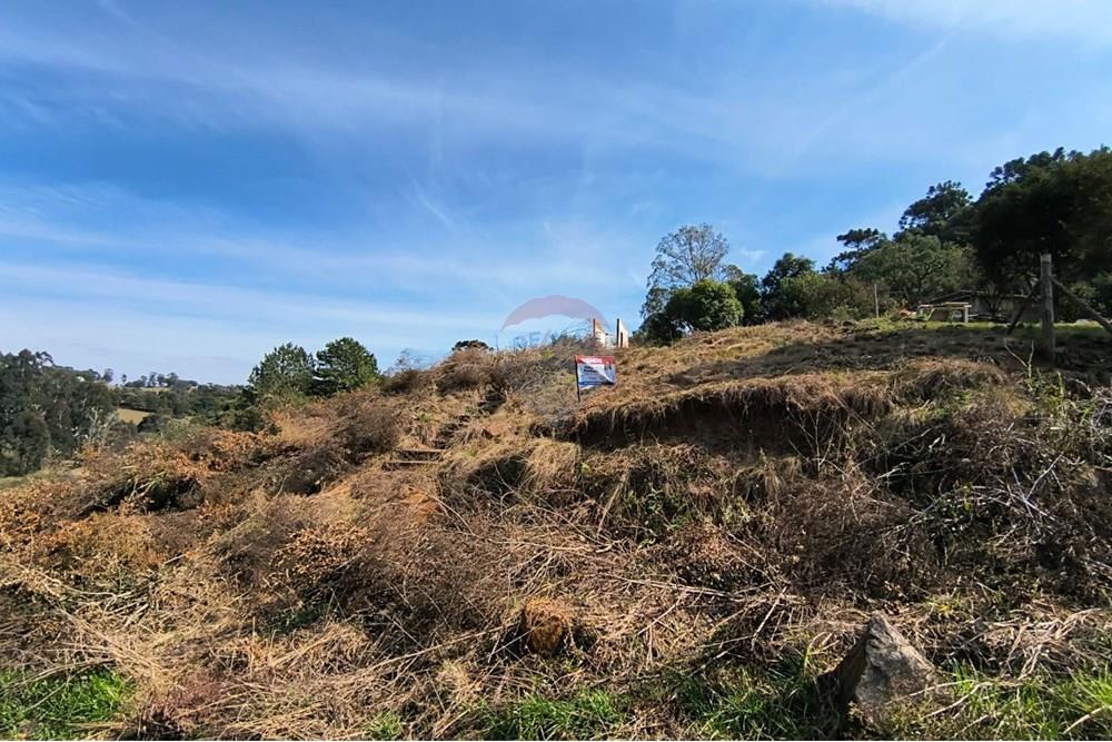 Terreno - Venda - Lages , Santa Catarina - WhatsApp Image 2025-08-28 at 16.20.29 (1).jpeg - 590071033-18