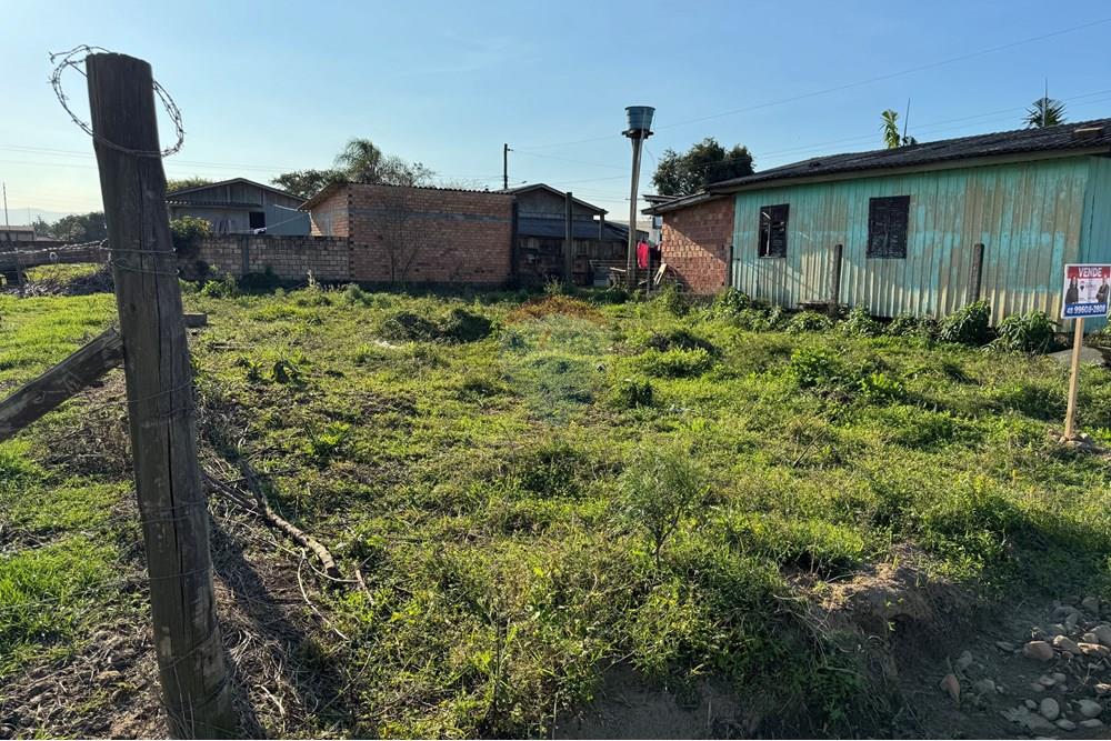 Terreno - Venda - Santa Rosa do Sul , Santa Catarina - IMG_7361.jpg - 590491012-2