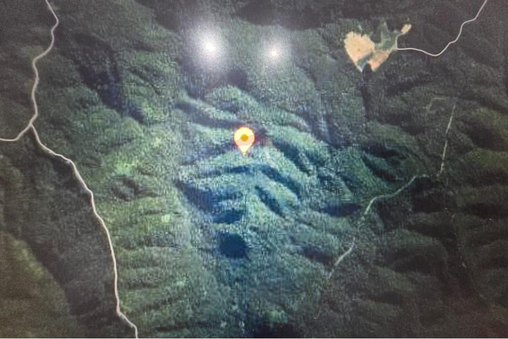 Chácara / Sítio / Fazenda - Venda - Itaiópolis , Santa Catarina - WhatsApp Image 2025-12-10 at 13.49.39 (3).jpeg - 590211033-83