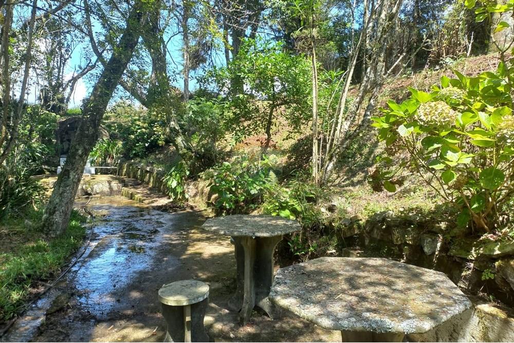 Chácara / Sítio / Fazenda - Venda - Lages , Santa Catarina - 90ceb204-78af-4168-9659-471dd51a7ac1.jpg - 590071041-18