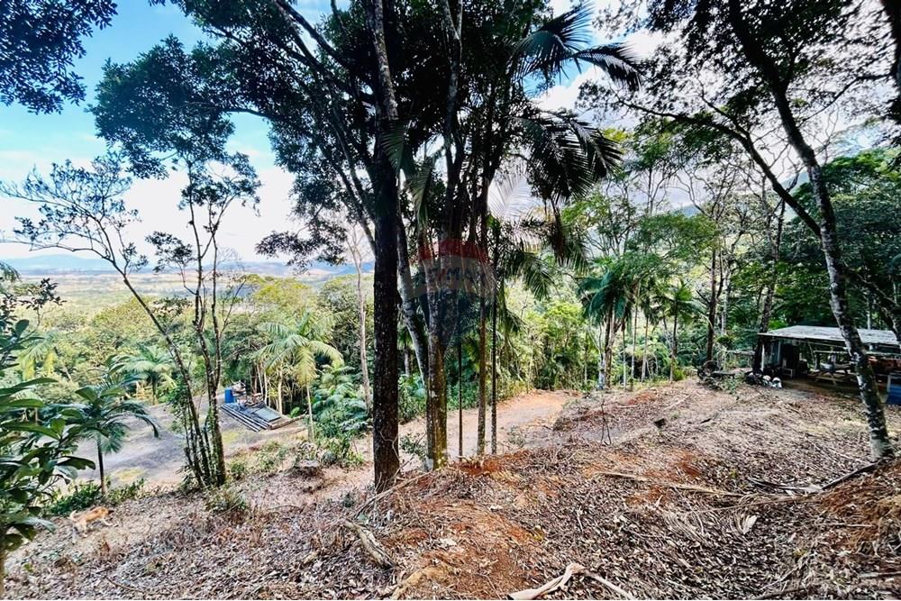 Chácara / Sítio / Fazenda - Venda - Itapema , Santa Catarina - WhatsApp Image 2025-07-14 at 16.25.23 (2).jpeg - 590401053-3