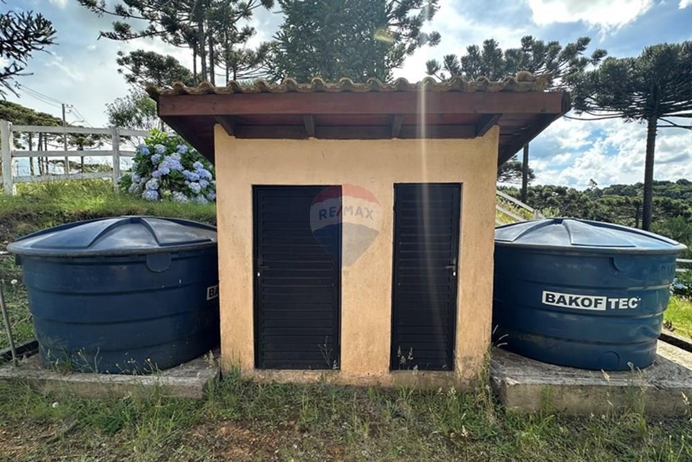 Chácara / Sítio / Fazenda - Venda - Painel , Santa Catarina - IMG_3323.jpg - 590071002-472