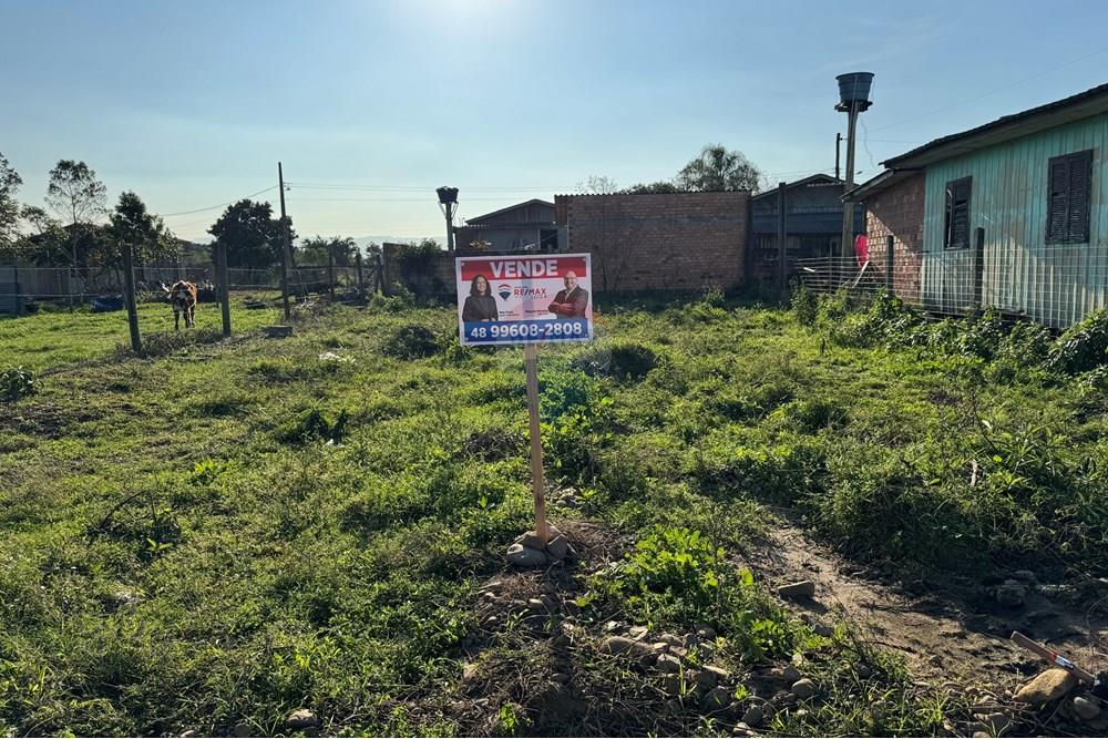 Terreno - Venda - Santa Rosa do Sul , Santa Catarina - IMG_7358.jpg - 590491012-2