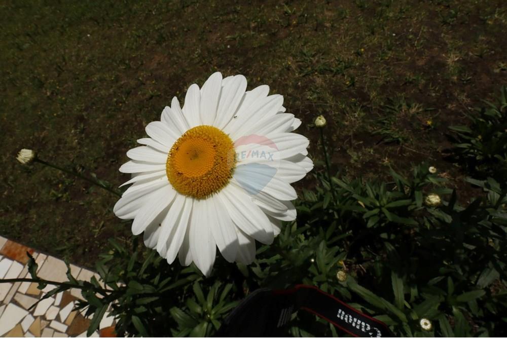 Terreno - Venda - Lages , Santa Catarina - PHOTO-2025-11-05-11-20-23.jpg - 590071050-3