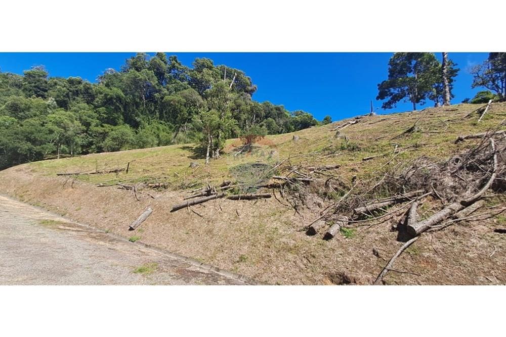Terreno - Venda - Rancho Queimado , Santa Catarina - WhatsApp Image 2026-01-21 at 18.15.10 (2).jpeg - 590471023-34