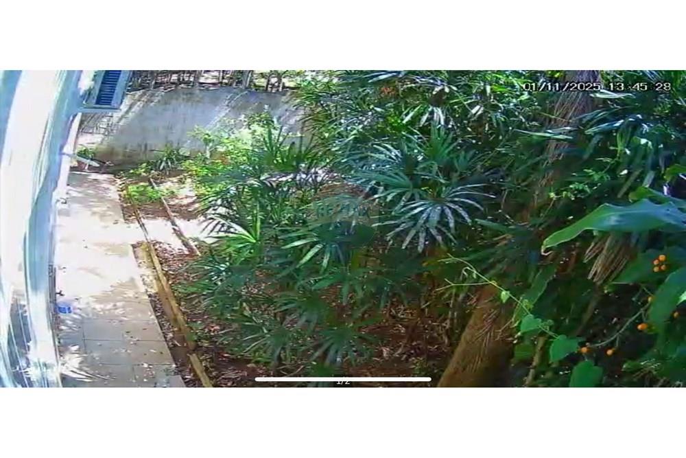 Casa - Venda - Florianópolis , Santa Catarina - WhatsApp Image 2026-03-16 at 3.53.40 PM (2).jpeg - 590441047-16