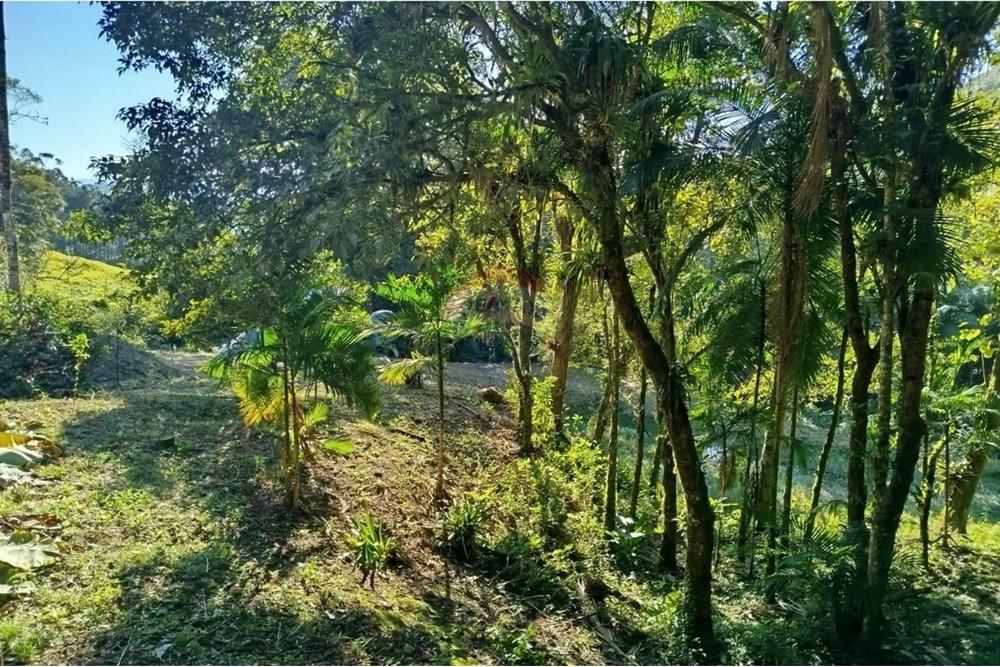 Terreno - Venda - Benedito Novo , Santa Catarina - WhatsApp Image 2025-09-09 at 17.07.55.jpeg - 590301027-106