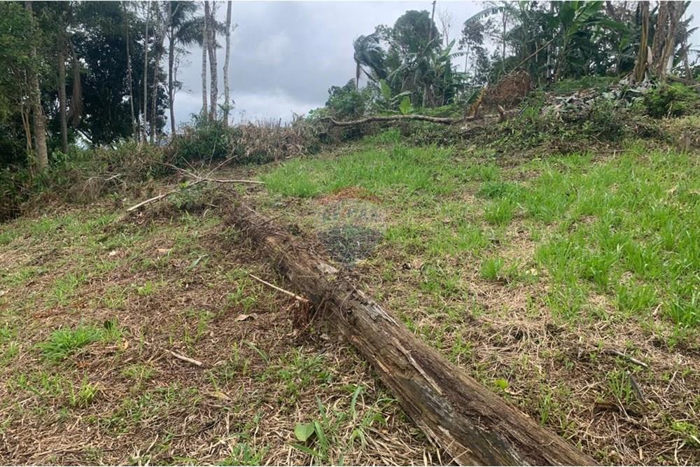 Terreno - Venda - Itajaí , Santa Catarina - WhatsApp Image 2025-11-02 at 11.42.59 AM.jpeg - 590531040-1