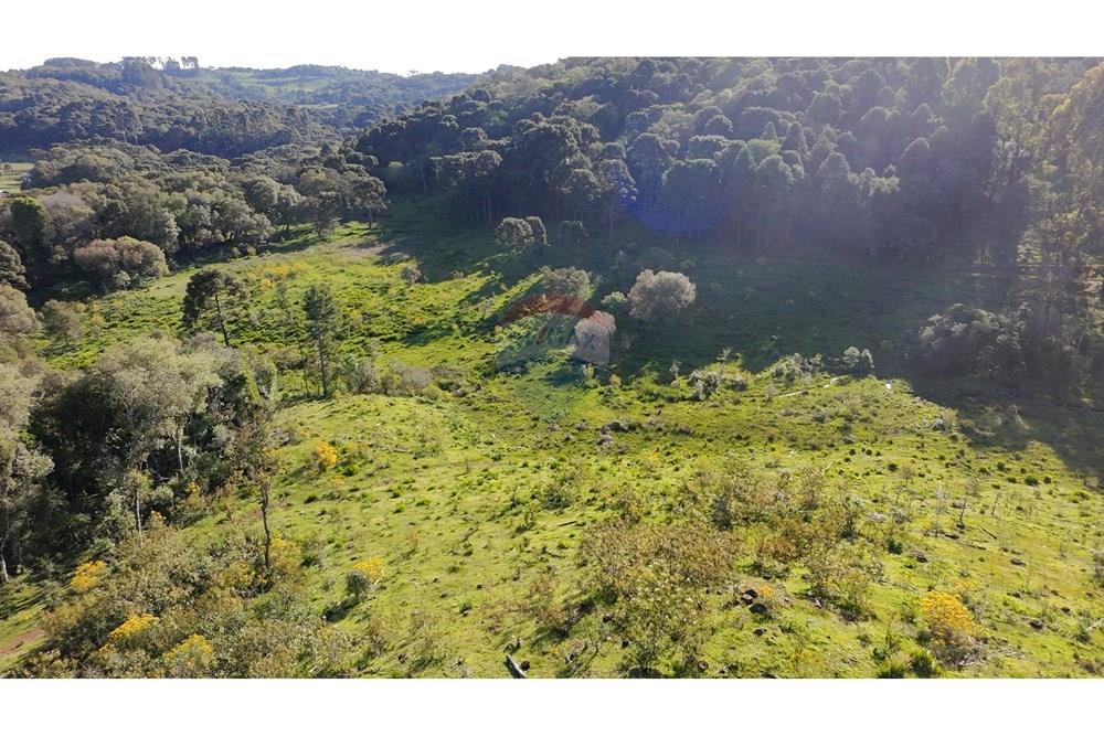 Chácara / Sítio / Fazenda - Venda - São José do Cerrito , Santa Catarina - DJI_20251111164503_0035_D.JPG - 590071044-13