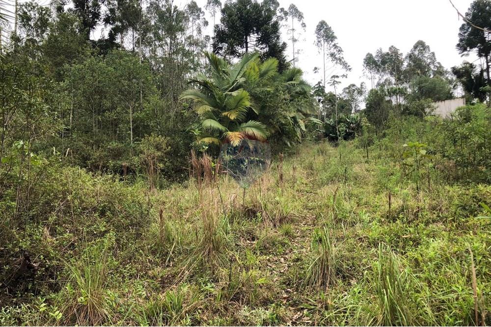 Residential - 땅 - Rodeio , Santa Catarina - BR - FOTO 06 - .JPG - 590211051-43